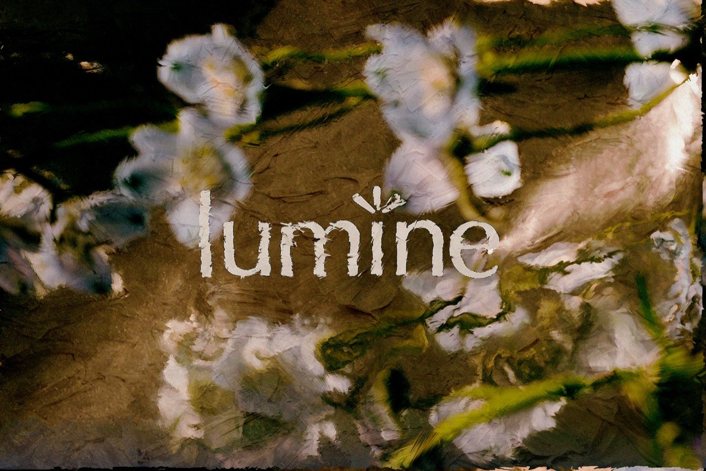 Projeto Lumine pela Brave